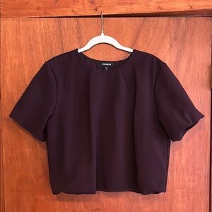 Dark purple cropped knit top express size XL
